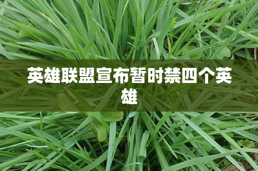 英雄联盟宣布暂时禁四个英雄图片