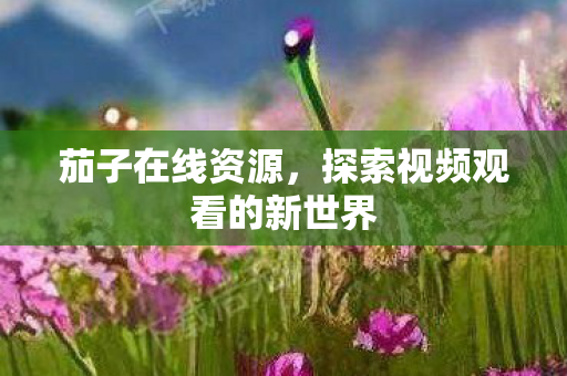 探索视频观看的新世界图片
