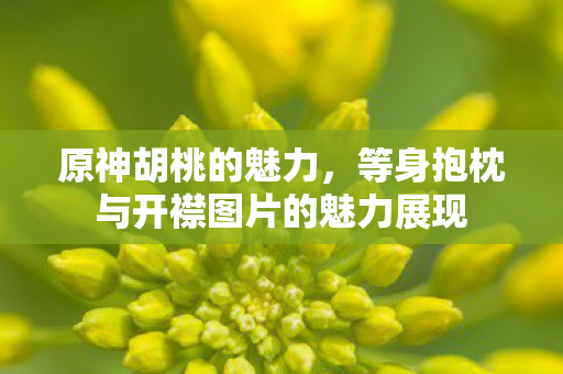 原神胡桃的魅力,等身抱枕与开襟图片的魅力展现 原神胡桃的魅力,等身抱枕与开襟图片的魅力展现