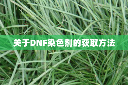 关于DNF染色剂的获取方法图片