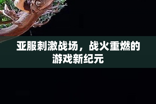 战火重燃的游戏新纪元图片