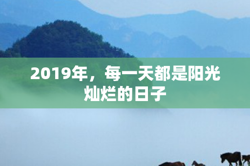 每一天都是阳光灿烂的日子图片
