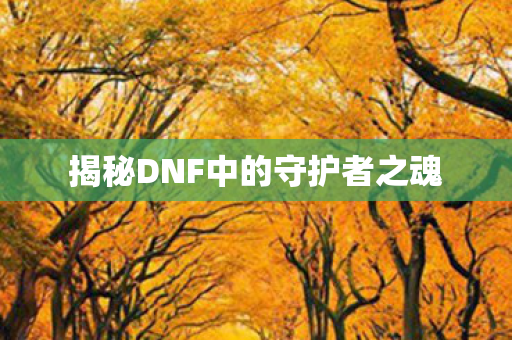揭秘DNF中的守护者之魂图片
