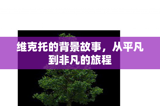 从平凡到非凡的旅程图片