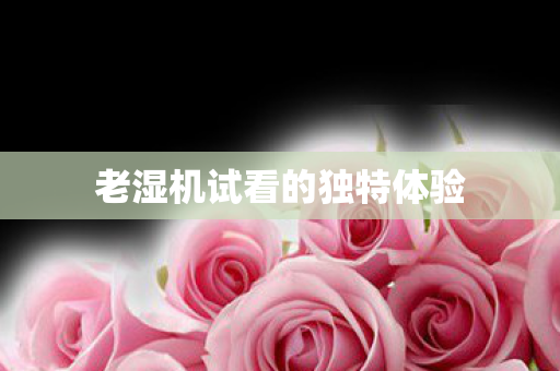 老湿机试看的独特体验图片