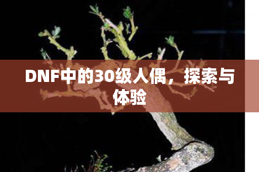 DNF中的30级人偶图片