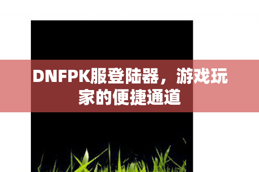 DNFPK服登陆器图片