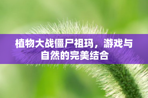 游戏与自然的完美结合图片