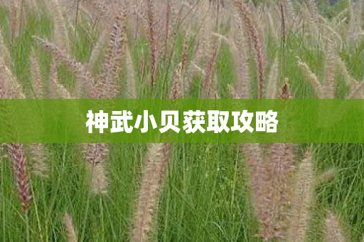 神武小贝获取攻略图片