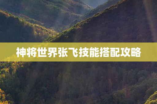 神将世界张飞技能搭配攻略图片
