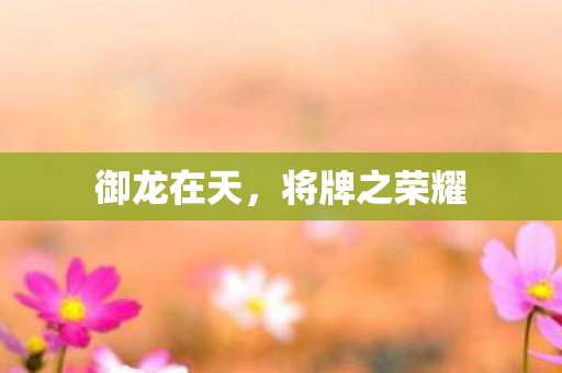 将牌之荣耀图片