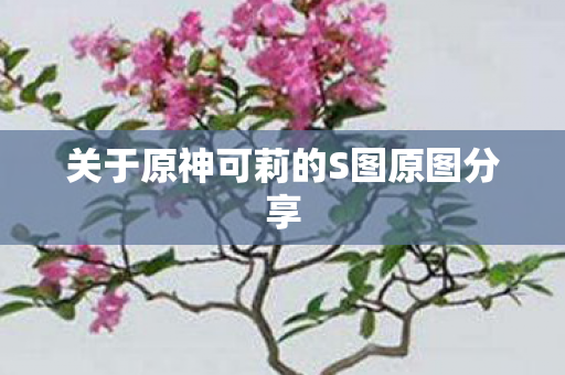 关于原神可莉的S图原图分享 关于原神可莉的S图原图分享