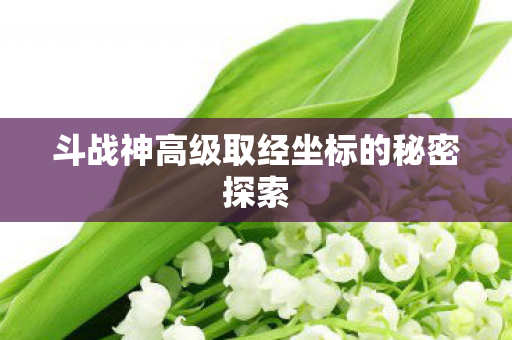 斗战神高级取经坐标的秘密探索 斗战神高级取经坐标的秘密探索