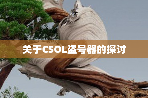 关于CSOL盗号器的探讨图片