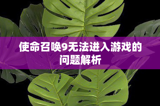 使命召唤9无法进入游戏的问题解析图片