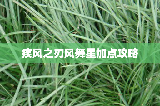 疾风之刃风舞星加点攻略图片