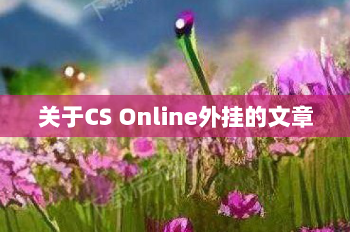 关于CS Online外挂的文章图片
