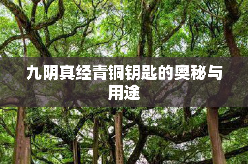 九阴真经青铜钥匙的奥秘与用途图片