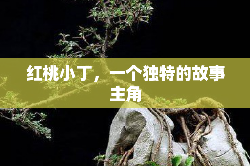红桃小丁,一个独特的故事主角 红桃小丁,一个独特的故事主角