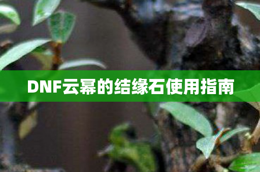 DNF云幂的结缘石使用指南图片