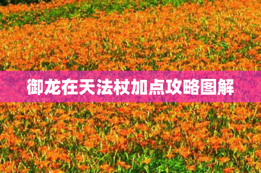 御龙在天法杖加点攻略图解图片