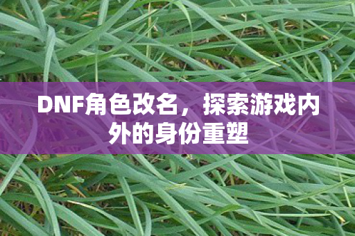 探索游戏内外的身份重塑图片