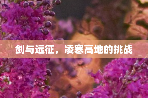 凌寒高地的挑战图片