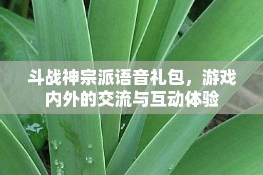 游戏内外的交流与互动体验图片