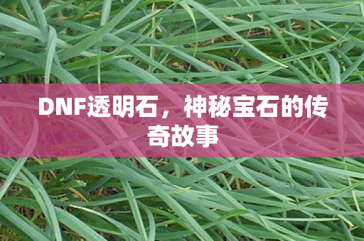 神秘宝石的传奇故事图片