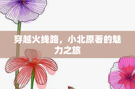 小北原著的魅力之旅图片