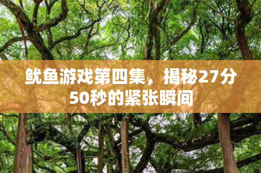 揭秘27分50秒的紧张瞬间图片