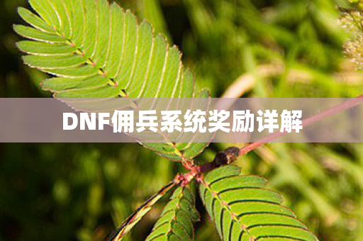 DNF佣兵系统奖励详解图片