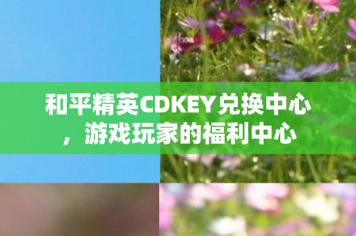 和平精英CDKEY兑换中心图片