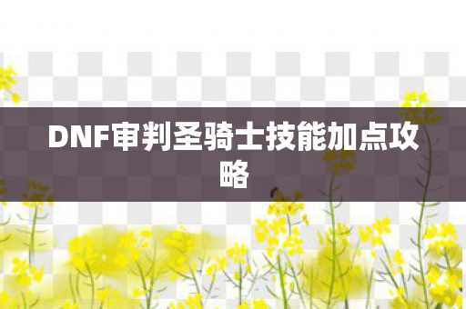 DNF审判圣骑士技能加点攻略图片