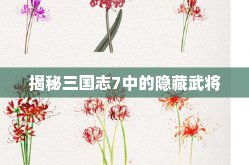 揭秘三国志7中的隐藏武将图片