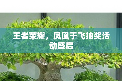 凤凰于飞抽奖活动盛启图片