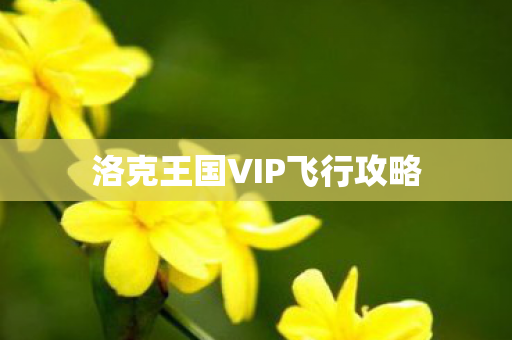 洛克王国VIP飞行攻略图片