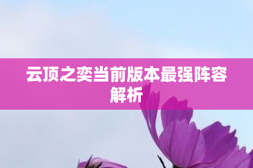 云顶之奕当前版本最强阵容解析图片