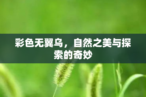 自然之美与探索的奇妙图片