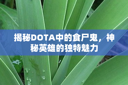揭秘DOTA中的食尸鬼图片