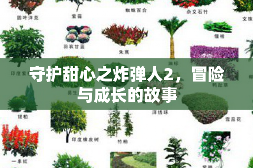 守护甜心之炸弹人2图片