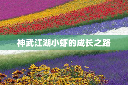 神武江湖小虾的成长之路图片