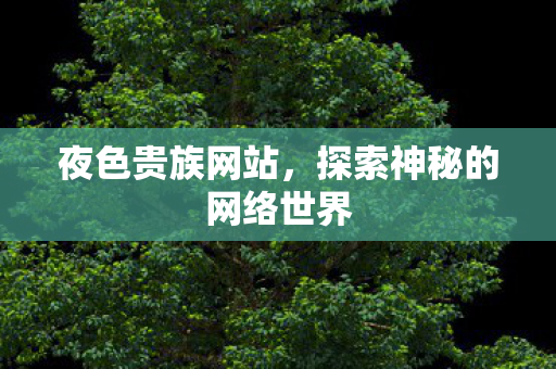 探索神秘的网络世界图片
