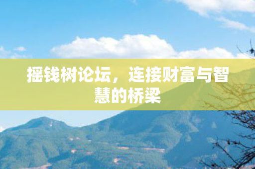 连接财富与智慧的桥梁图片