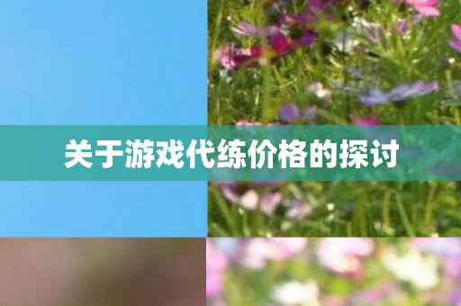 关于游戏代练价格的探讨图片