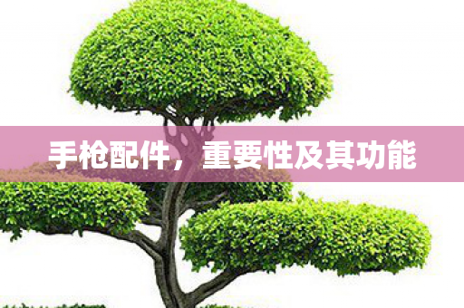重要性及其功能图片