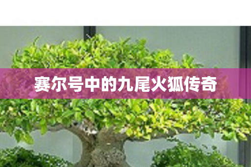 赛尔号中的九尾火狐传奇图片