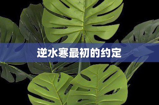 逆水寒最初的约定图片