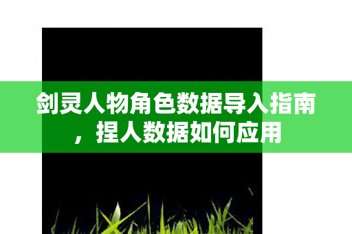 剑灵人物角色数据导入指南图片