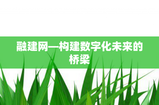 构建数字化未来的桥梁图片